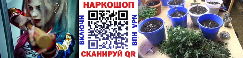Купить наркоту Азнакаево Cocaine Каннабис Амфетамин Псилоцибиновые грибы Меф мяу мяу мега ГАШИШ MDMA