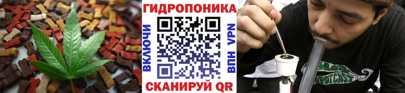 Canna-Cookies конопля  мориарти наркотические препараты  Азнакаево  omg tor 